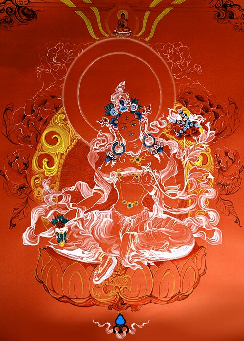 Tara Roja